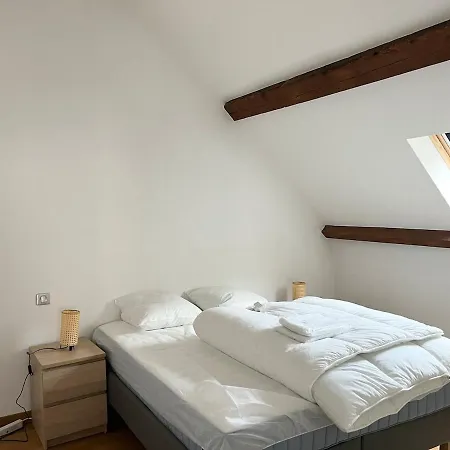 Maison De Caractere Au Mont-dore 15 Personnes Holiday home Le Mont-Dore