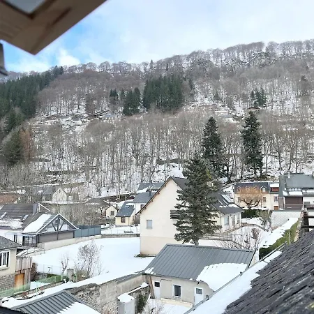 Maison De Caractere Au Mont-dore 15 Personnes * Le Mont-Dore