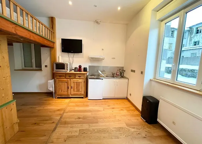 펜션 Maison De Caractere Au Mont-dore 15 Personnes *