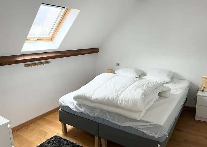 Maison De Caractere Au Mont-dore 15 Personnes *