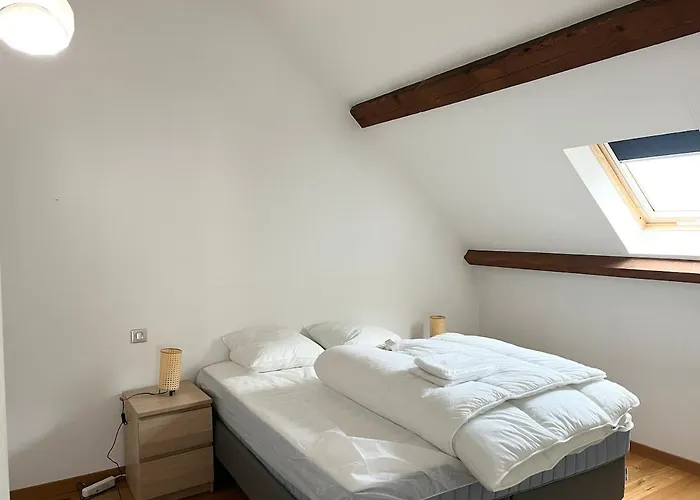 Maison De Caractere Au Mont-dore 15 Personnes 펜션 르몽도레