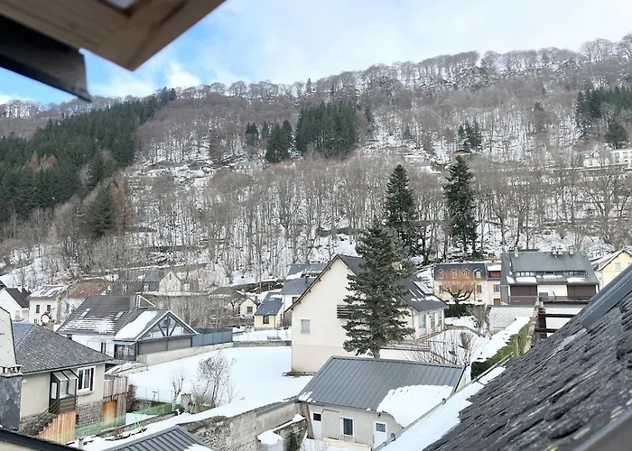 Maison De Caractere Au Mont-dore 15 Personnes * Le Mont-Dore