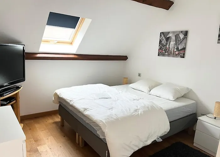 Maison De Caractere Au Mont-dore 15 Personnes Vakantiehuis Le Mont-Dore